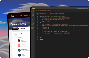 One API for every way money moves